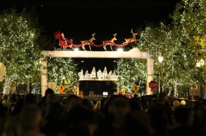 SCV Buzz-Family Fun