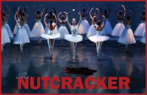 SCV Buzz - November 19