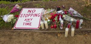 Fans Host Memorial In Santa Clarita One Year After Paul Walker,