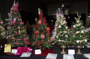 SCV Buzz-Family Fun