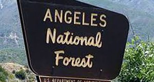 National Forest