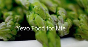 Yevo Food Slider