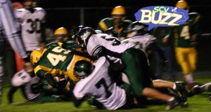 SCV Buzz - Family Fun Activities - Santa Clarita events - Photo: Aklepsteen