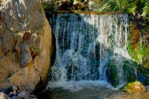 Forest Service Seeks Input On Bouquet Creek Restoration