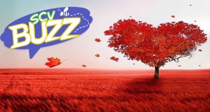 SCV Buzz - Valentines Week