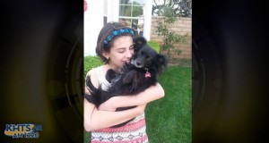 An ambitious SCVi sixth-grader with a love of animals is putting her passion on parade with the inaugural SCV Pet Parade