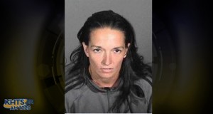 A Santa Clarita woman is being charged with multiple counts of animal cruelty due to the “starvation of several horses in Leona Valley,” according to the District Attorney’s Office.