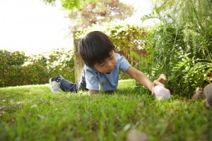 SCV Buzz - Easter 