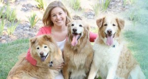 Santa Clarita Veterinarian Cinema Veterinary Centre