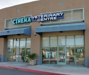 Santa Clarita Veterinarian Cinema Veterinary Centre