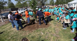 Santa Clarita residents will have the opportunity to create their own work of art for this year’s Earth Arbor Day “cArt aRt” Competition, officials said Wednesday.