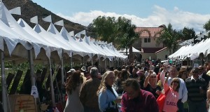 The wine festival and the Reyes Winery vineyard host the festival each year to give back to a Santa Clarita Valley nonprofit, choosing the SCV Relay for Life as the main beneficiary this year.