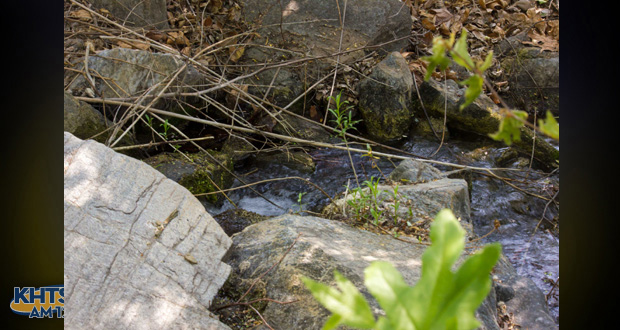 Santa Clarita Valley water officials are bracing for stricter conservation efforts this week, after Gov. Jerry Brown mandated a 25 percent statewide reduction in water use
