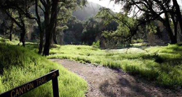 An honorary park ranger was named in recognition of his leadership and years of volunteer service to Placerita Canyon Nature Center in the Santa Clarita Valley, officials announced Monday.