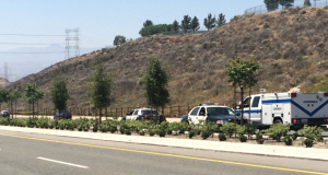 Homicide detectives are investigating the death of a 28-year-old Hispanic man who was found Sunday dead in the trunk of a Honda, officials said.