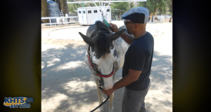 Santa Clarita Nonprofit Blue Star Ranch Helps Veterans Overcome PTSD