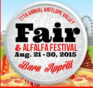 AV Fair