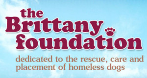 Brittany Foundation