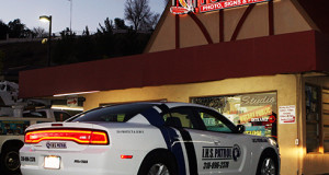 Santa Clarita Printing Company Feathers