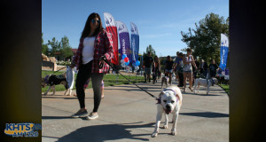 Bark for Life