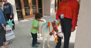 ponykid