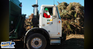 Christmas Tree Recycling