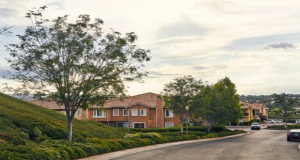 This was another award-winning year for Stay Green Inc., after the Southern California landscaper brought home seven state awards from the California Landscape Contractors Association (CLCA) annual trophy awards gala, plus three awards from the National Association of Landscape Professionals.