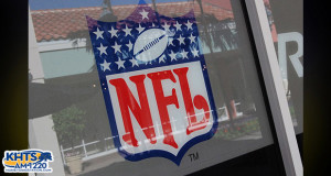 NFL Logo