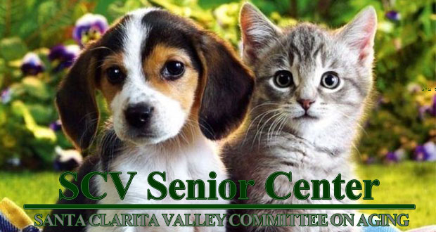 Free Pet Vaccinations For Seniors - Top Things to Do in Santa Clarita