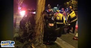 One Injured After Collision With Tree On McBean