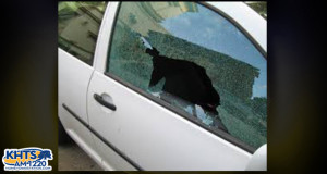 Santa Clarita residents and other Angelenos are at higher risk for auto thefts than anywhere else in the state, according to the California Highway Patrol.