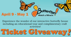 Adopt A Butterfly