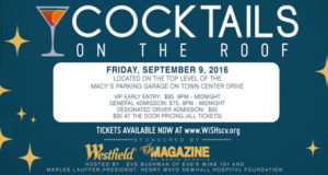 WiSH Education Foundation Presents Cocktails on the Roof 2016