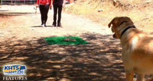 Dog Trainer, Rattlesnake Expert Aim To Save Dogs’ Lives With Rattlesnake Avoidance Training