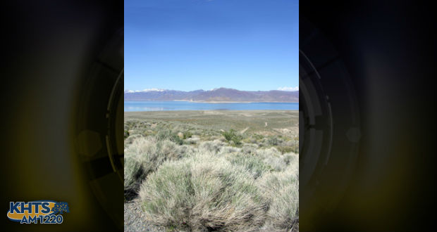 Toxins from algae in the water at Pyramid Lake prompted officials to issues the following warnings to water enthusiasts and pet owners