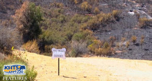 Animal Lovers Can Raise Money For SCV Rescues Impacted By Sand Fire Using Walking App