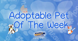 KHTS Adoptable Pet of the Week - Pet Adoption Santa Clarita