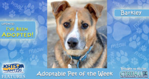 KHTS Adoptable Pet of the Week - Barkley