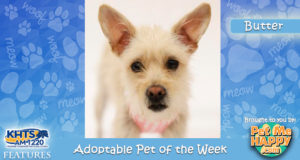 Pet of the Week - Butter