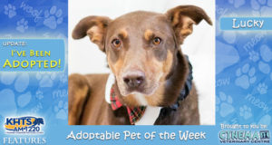 KHTS Adoptable Pet of the Week - Lucky