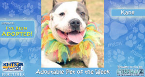 KHTS Adoptable pet of the Week - Kane