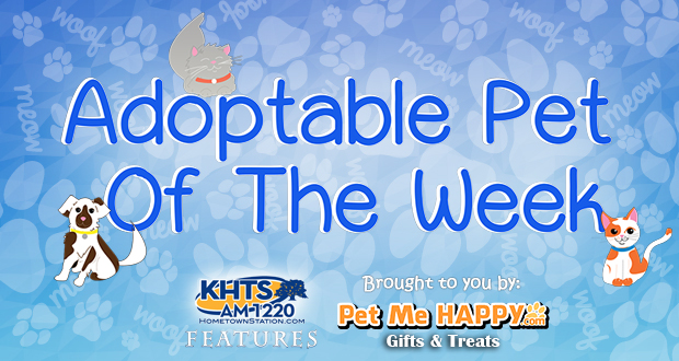 KHTS Adoptable Pet of the Week - Pet Me Happy