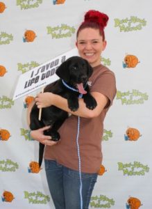 Bow Wows and Meows Pet Fair