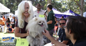 Bow-Wows & Meows Pet Fair
