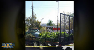 marijuana, bust, raid, pot, Canyon Country, Santa Clarita