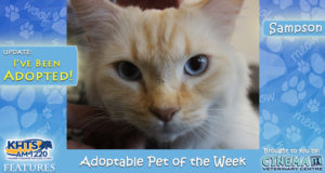 KHTS Adoptable Pet of the Week - Sampson