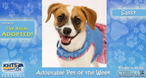 KHTS Adoptable Pet of the Week -Sassy