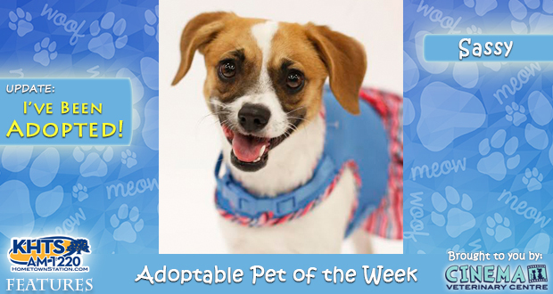 KHTS Adoptable Pet of the Week -Sassy