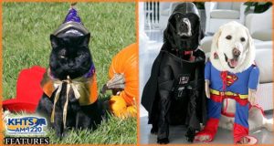 Halloween Pets