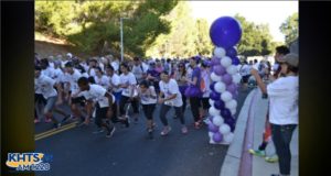 Purple Walk of Strength 2016